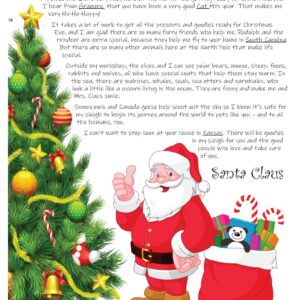 Santa Letter D (Pet version)